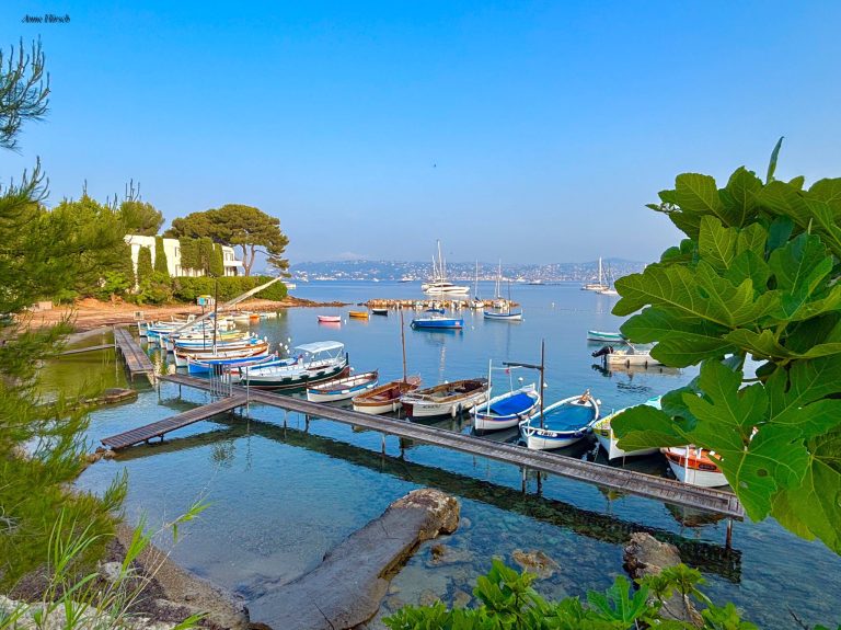 port-general-juillet3