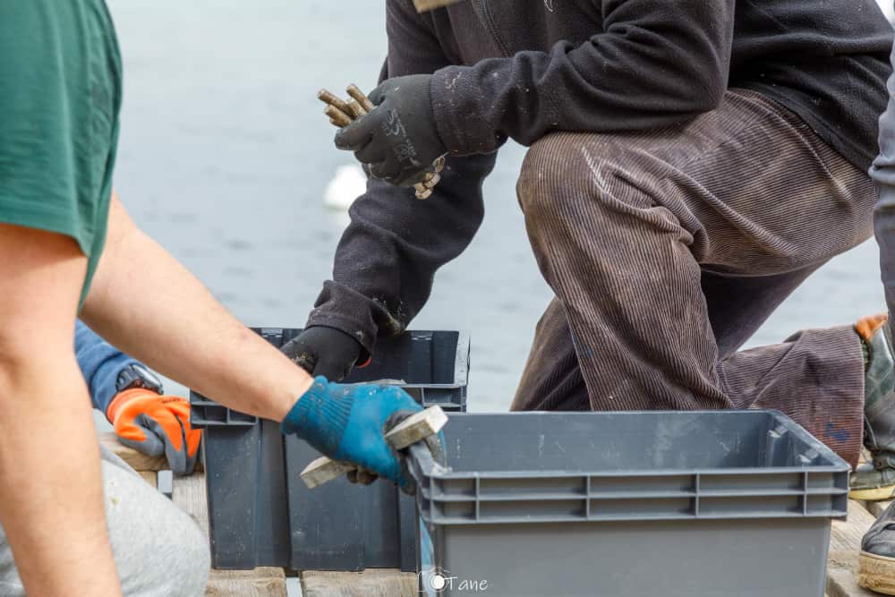 Lire la suite à propos de l’article Remontage des pontons 2026: une organisation collective toujours plus efficace chaque année